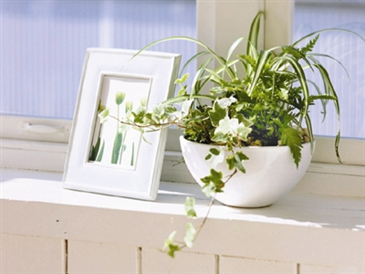 軟裝配飾 讓你在都市中也能感受寧靜的生活