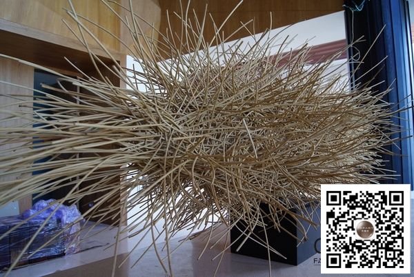 �c���g�[��һ�