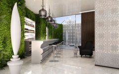 ���Mira Moon�Ƶ�ܛ�b�O(sh��)Ӌ(j��)���p