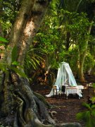 �R��������������ȼپƵ�ܛ�b�O(sh��)Ӌ���p