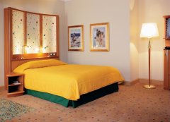 ����˹�ؙC(j��)��(ch��ng)���ϾƵ�ܛ�b�O(sh��)Ӌ(j��)���p